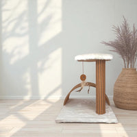 Posta interattiva di Stela