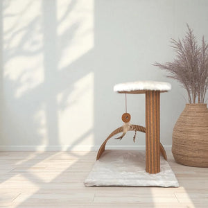 Posta interattiva di Stela