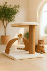 Posta interattiva di Stela