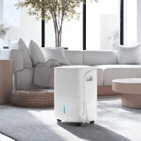 Deumidificatore Portatile 30L/Giorno con Serbatoio 4L, 3 Velocità e 4 Funzioni, Timer fino 24 Ore, Bianco