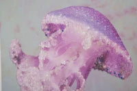 Stampa Su Tela Con Applicazioni Medusa -A- Cm 80X3.8X120