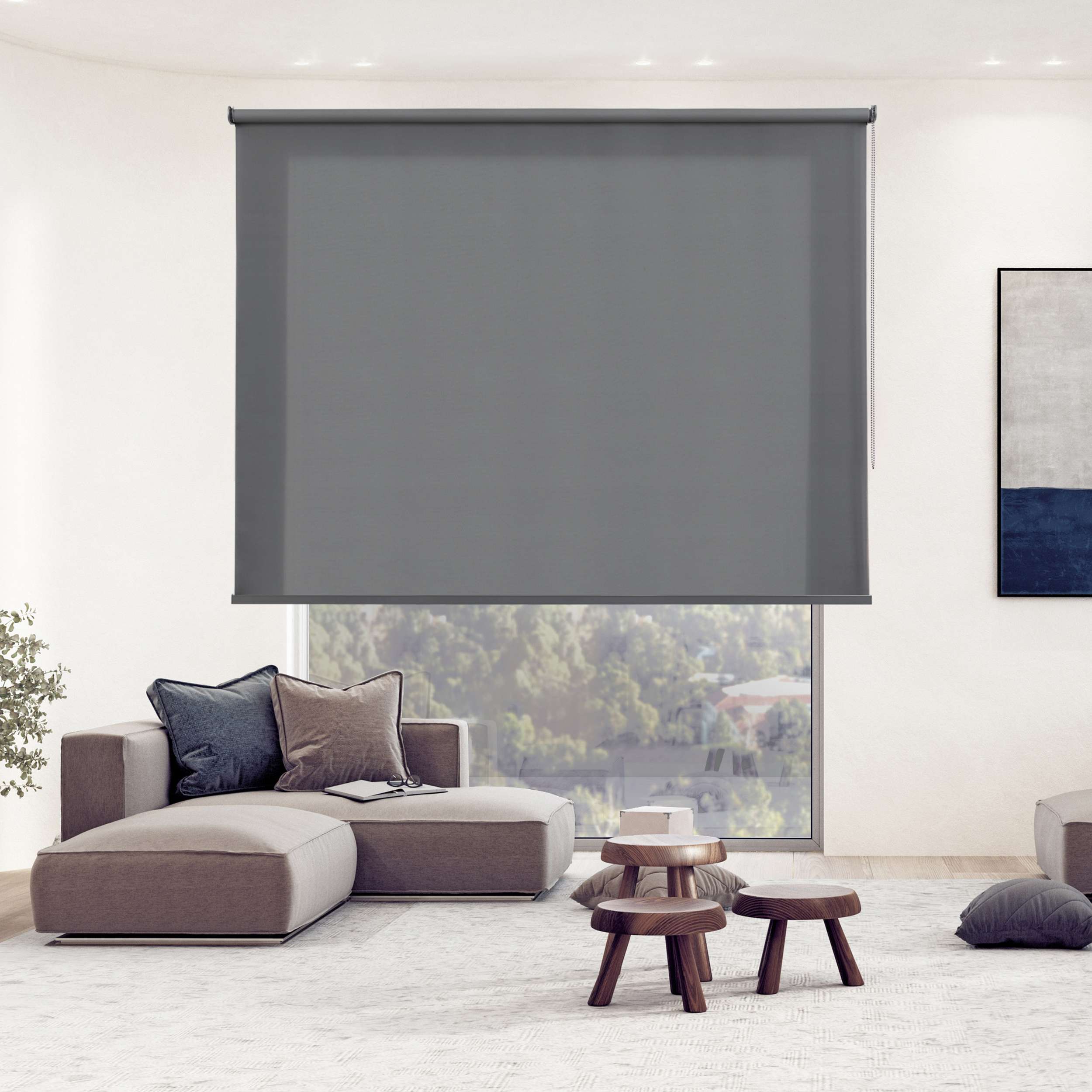 Tenda a rullo traslucida Premium con finitura metallizzata Grigio scuro 80x250 cm