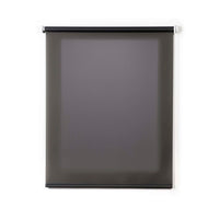 Tenda a Rullo Filtrante per finestre e porte Grigio 160x180 cm