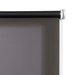 Tenda a Rullo Filtrante per finestre e porte Grigio 160x250 cm