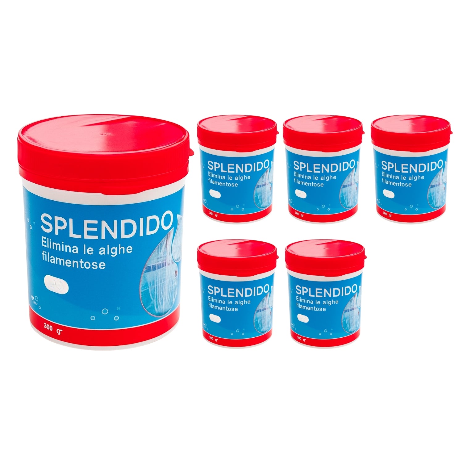 6 pezzi splendido antialghe per laghetto in polvere dose per 30000 litri