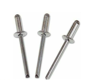 RIVETTI INOX A2 MM.4,8X12 PZ.100