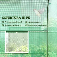 Serra da Giardino Telaio in Acciaio e 4 Finestre in PE 2.5x2x2m, Verde