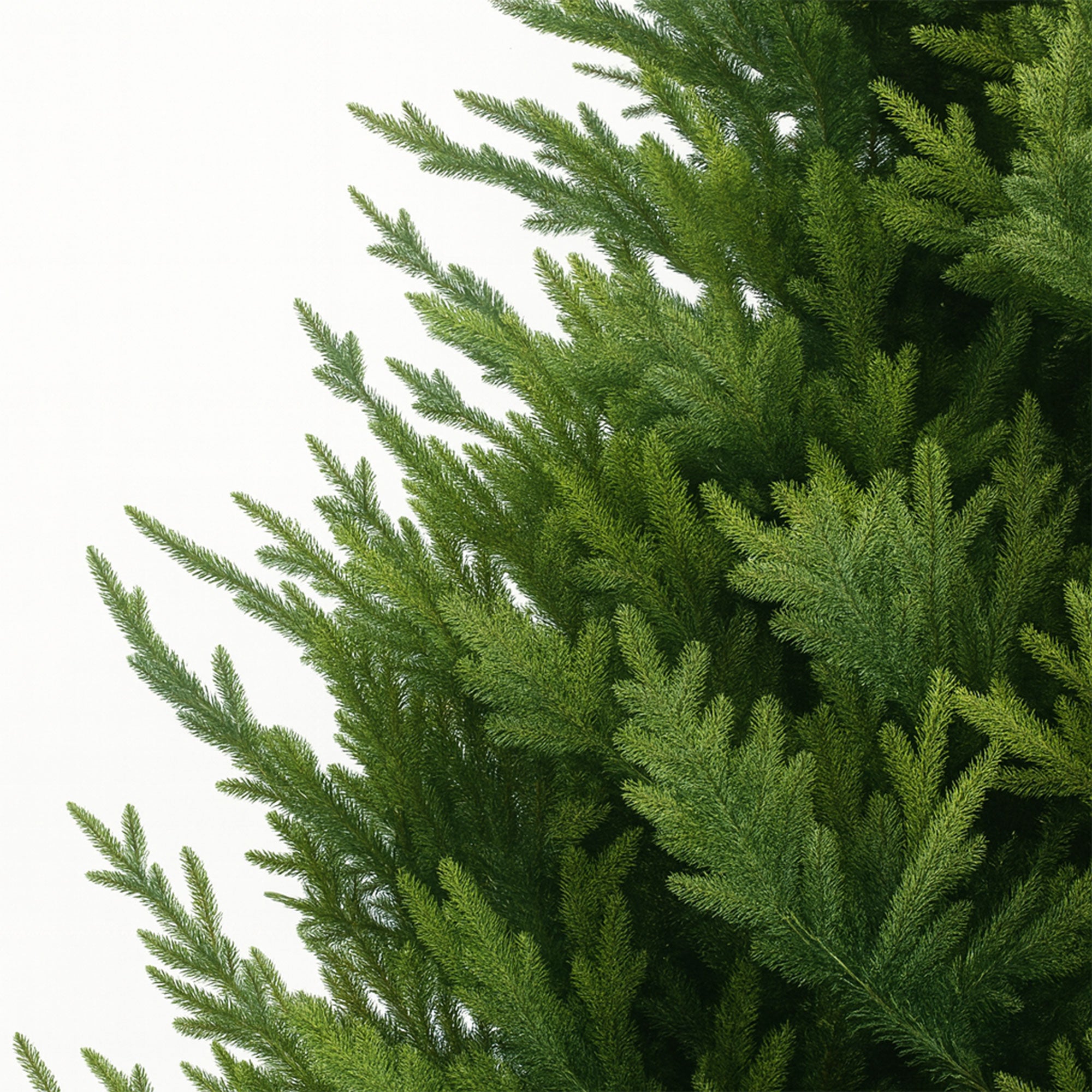 Rockfeller - Albero di Natale effetto realistico in PE e PVC ø112x150H, 816 Punte