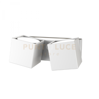 ROTATION APPLIQUE 2 LUCI BIANCO 1160-2-BI