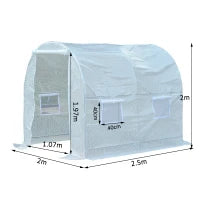 Serra da Giardino a Tunnel Per Piante in PE con Tubi in Ferro, Bianco, 250x200x200cm