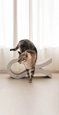 Tiragraffi ondulato per gatti