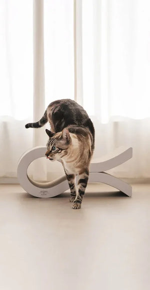 Tiragraffi ondulato per gatti