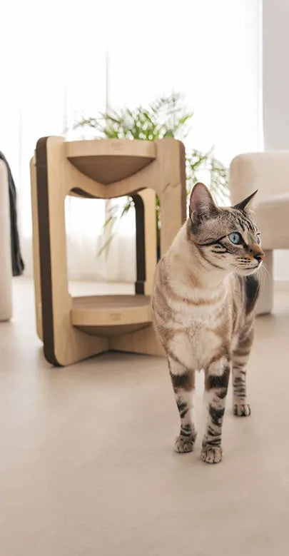 Torre tiragraffi per gatti