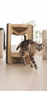 Torre tiragraffi per gatti