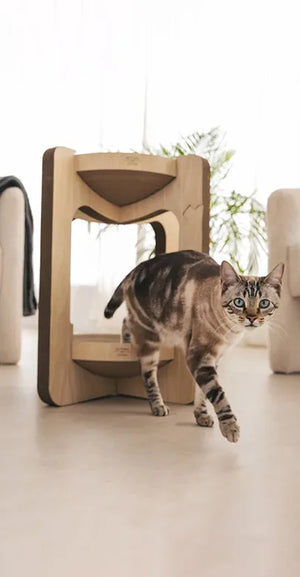 Torre tiragraffi per gatti