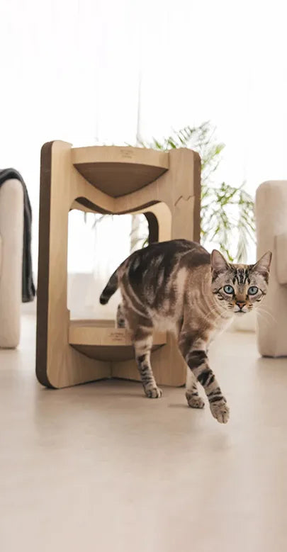 Torre tiragraffi per gatti