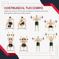 Set di 4 Dischi Pesi per Bilanciere e Manubri Peso Totale 30kg, 2x5kg e 2x10kg, Nero