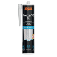 Forza 10 sil sigillante siliconico resistente alle muffe 280 ml *** colore- trasparente , confezione 1