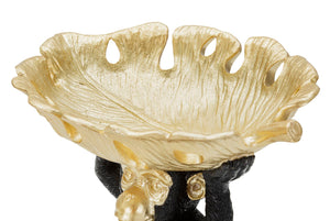 SCIMMIA S/TASCHE CM 25,2X21X24