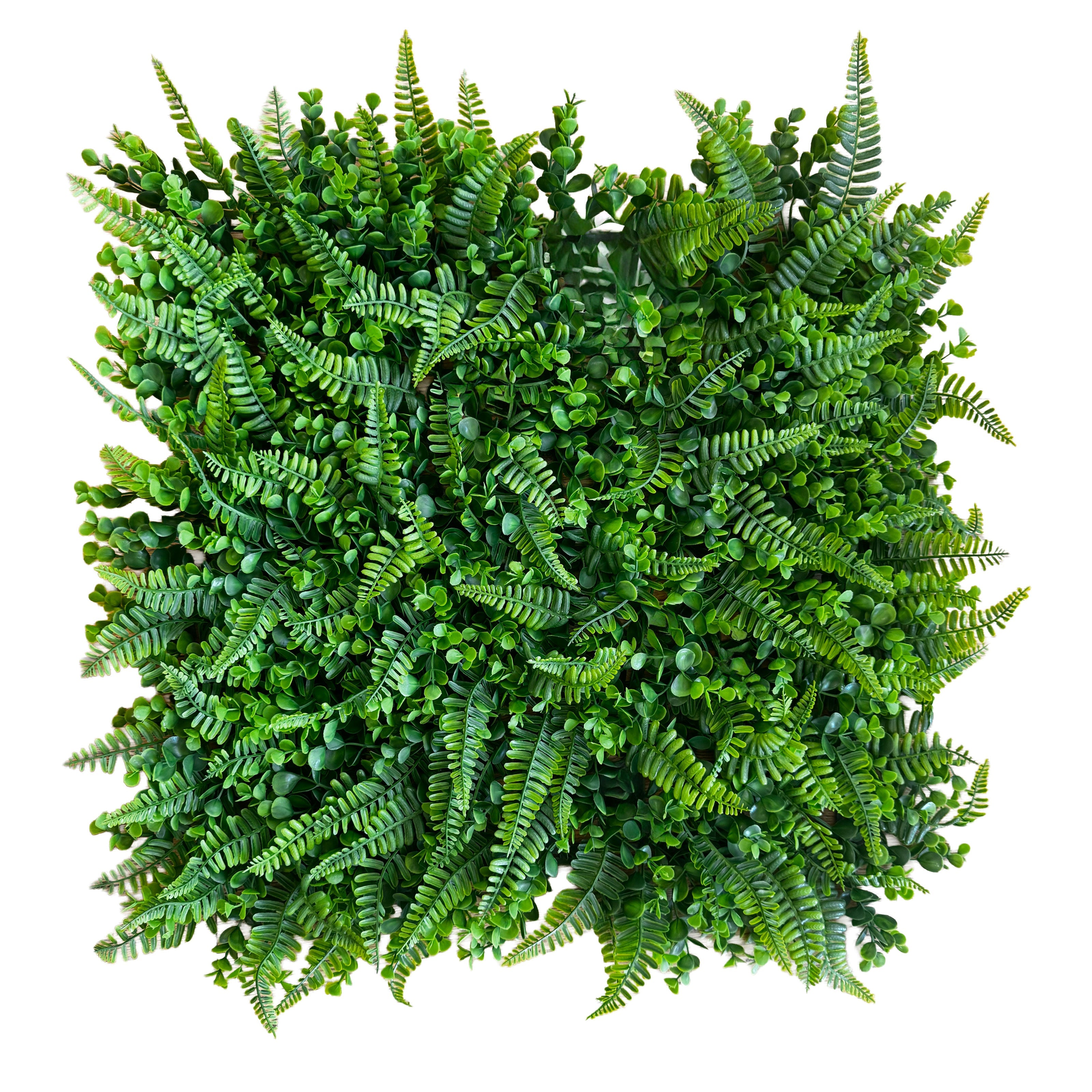 Pannelli Verde Verticale 50×50 cm Ultra-realistici e folti, per interno/esterno FELCI E BOSSO - Eternal Parquet