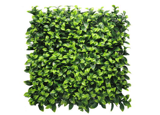 Siepe Artificiale A Parete Decorazione Interni Design Modello Diva - 100x100 - Diva
