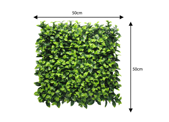 Siepe Artificiale A Parete Decorazione Interni Design Modello Diva - 50x50 - Diva