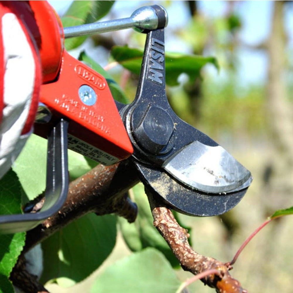 FORBICI FORBICE DA POTATURA PNEUMATICA TRONCARAMI AD ARIA COMPRESSA SLY LISAM