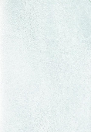 SOSPENSIONE JUIS PICCOLA TRASPARENTE DIAMETRO 30CM 3000K 1620LM 20W