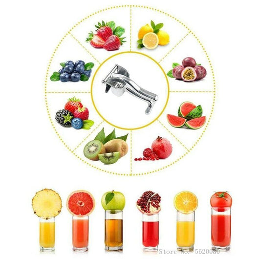 SPREMIAGRUMI ESTRATTORE MANUALE DI SUCCO PRESSA FRUTTA FRESCA ALLUMINIO 10918