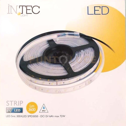 STRIPLED FAN EUROPE LIGHTING STRIPLED-5050-IP67-M