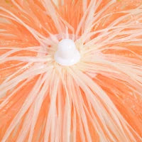 Ombrellone Hawaiano Portatile, Tettuccio Ø160cm, Impermeabile, Altezza fino 180cm