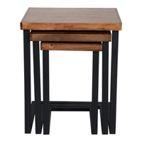 Set di 3 Tavolini Sovrapponibili 'Rørvig' Tavolini Laterali con Piani in Legno di Pino Verniciato [en.casa]