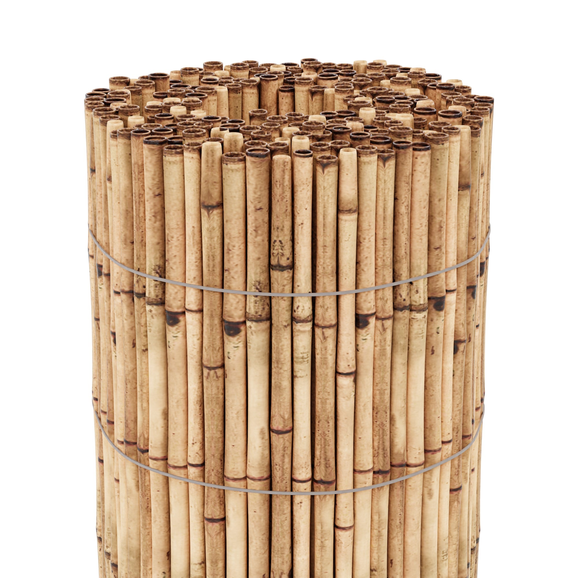 Schermo in canne 300 x 100 cm da giardino 03_0006559