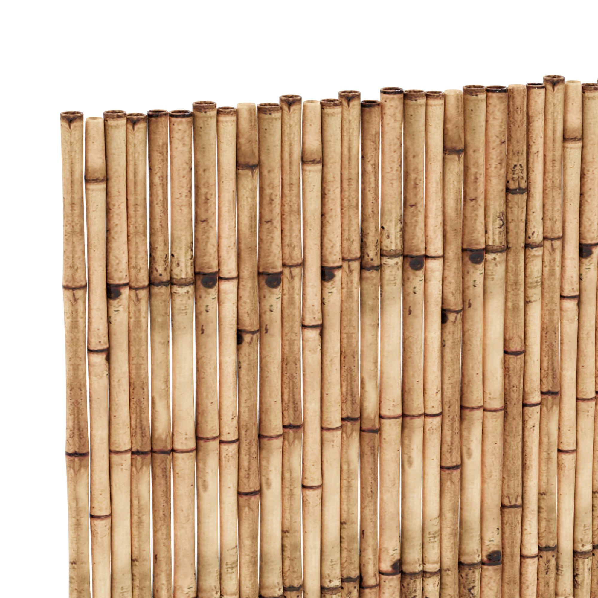 Schermo in canne 300 x 150 cm da giardino 03_0006560