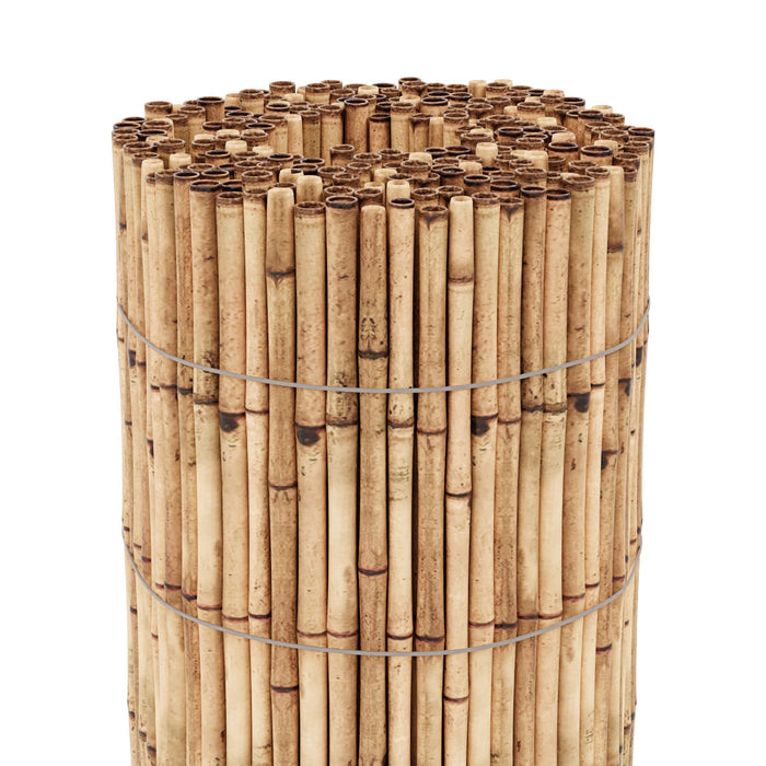 Canna da giardino 500 x 150 cm 03_0006563