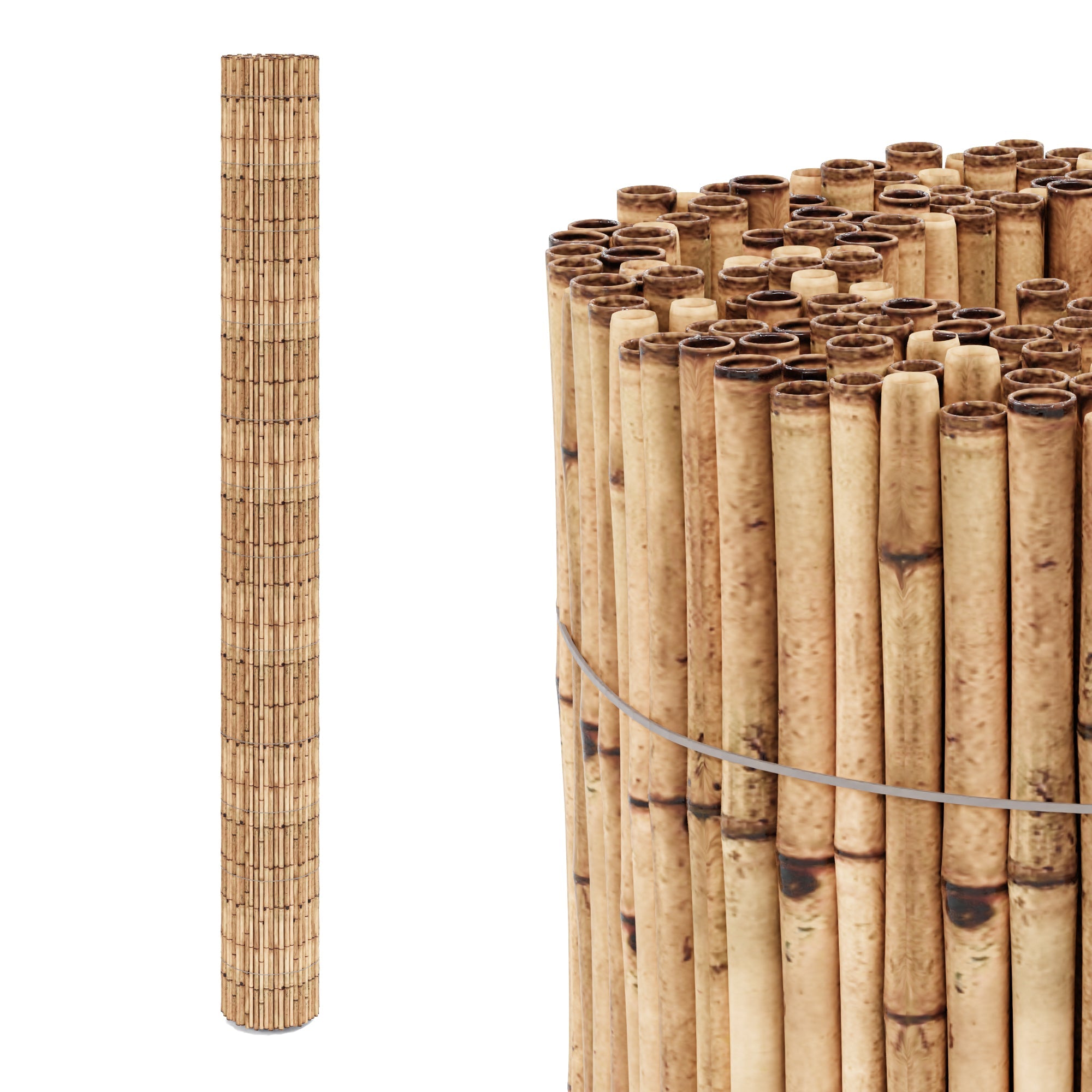 Canna di canna 500 x 200 cm 03_0006564