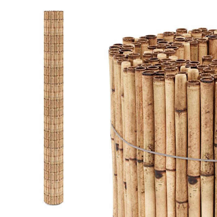 Canna di canna 500 x 200 cm 03_0006564