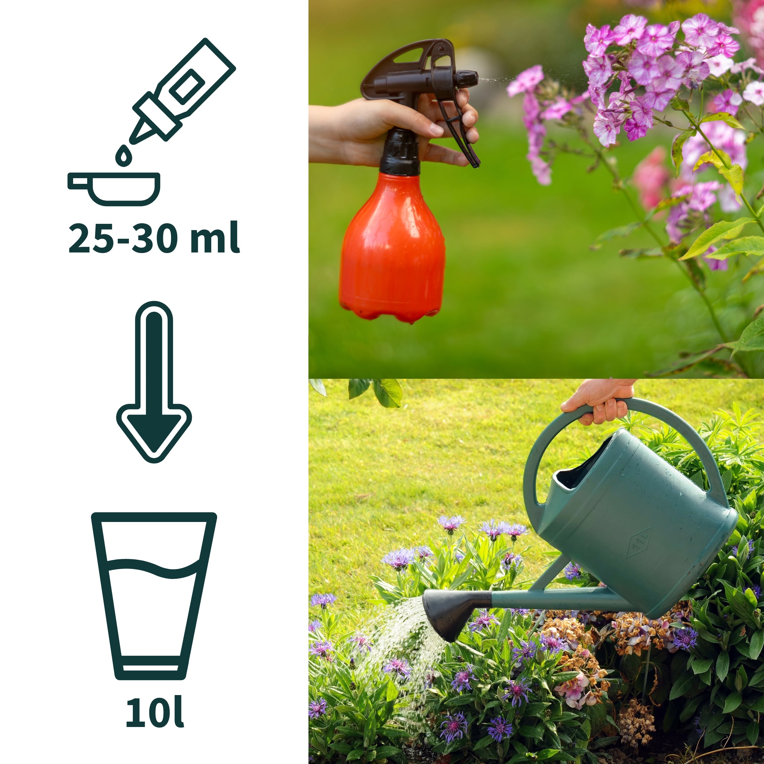 Altea Four concime liquido four per piante a crescita lenta 300 ml