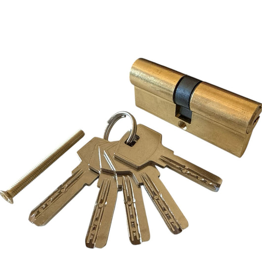 Serratura Cilindro Sicurezza Per Serrature da 70mm Con 5 Chiavi Lucchetto Porta