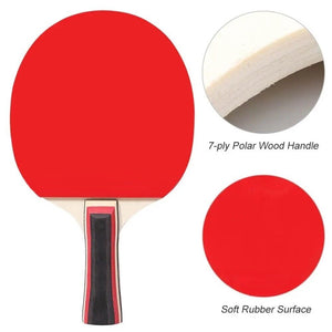 Set da gioco ping pong con 3 palline 2 racchette + borsa JK-318