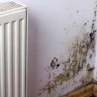 Fissativo bonificante sanificante biofix barriera protettiva antimuffa antialga *** formato 1 lt, confezione 1