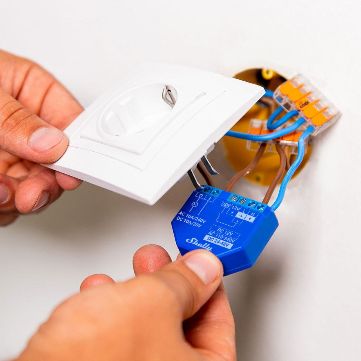 Shelly Plus 1 Interruttore a relè comandato da WiFi 1 canale 16A