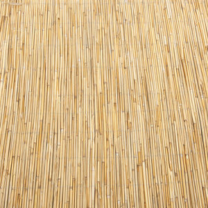 Recinzione Frangivista Abbateggio in Canna Naturale 90 x 300 cm casa.pro