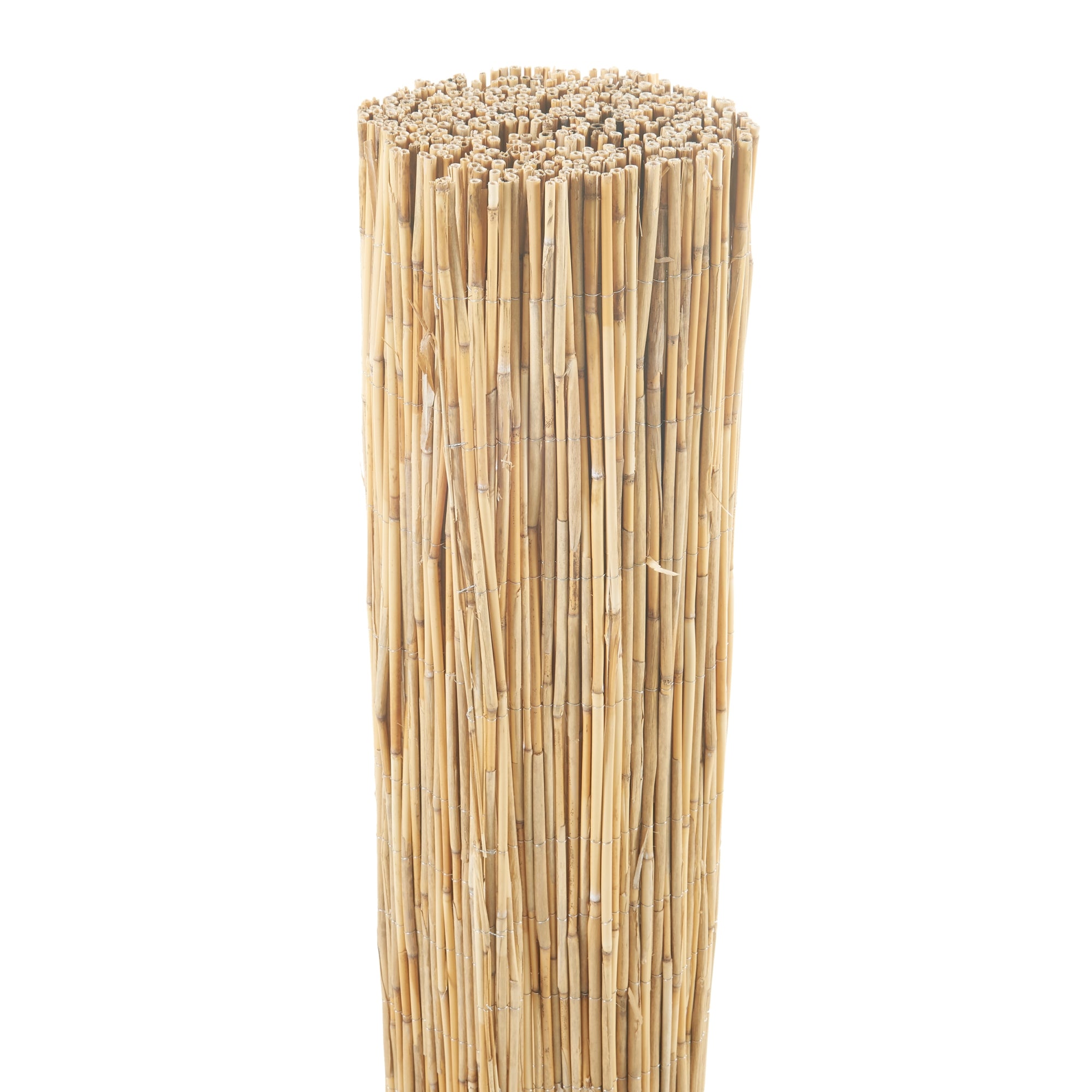 Recinzione Frangivista Abbateggio in Canna Naturale 90 x 300 cm casa.pro