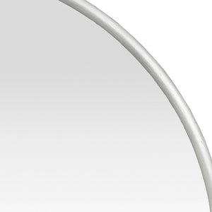 Specchio da Parete Picciano Ovale 40 x 80 cm Champagne Argento [en.casa]