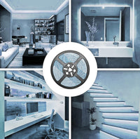 Striscia 1600 LED COB lineare 50W bobina strip flessibile adesiva 24V 5100lm nastro luce continua colorata decorativa interni IP20 6000K