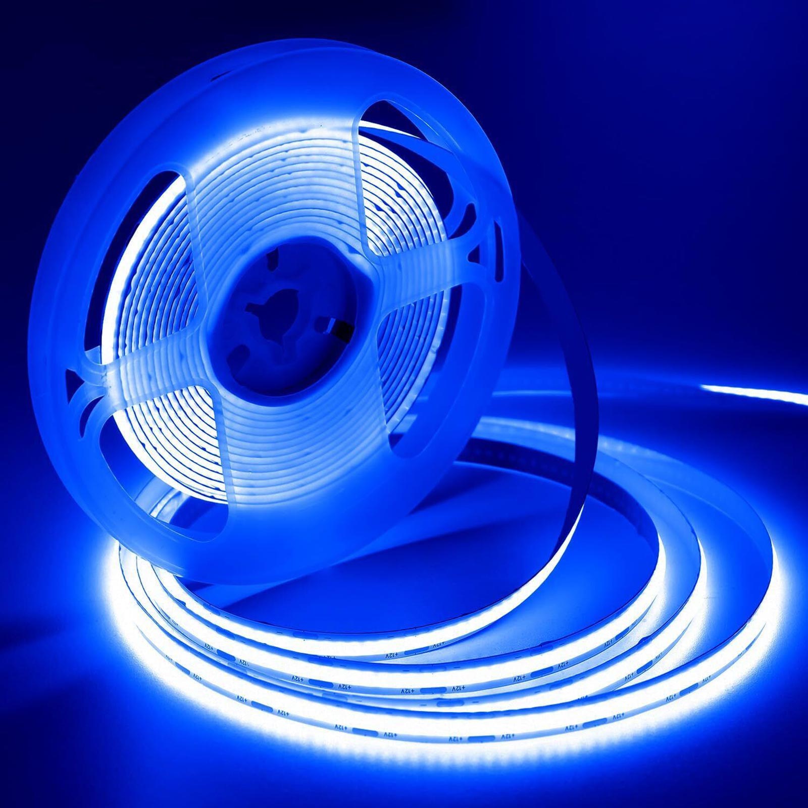 Striscia 1600 LED COB lineare 50W bobina strip flessibile adesiva 24V 5100lm nastro luce continua colorata decorativa interni IP20 BLU