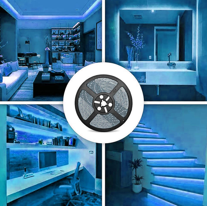 Striscia 1600 LED COB lineare 50W bobina strip flessibile adesiva 24V 5100lm nastro luce continua colorata decorativa interni IP20 BLU