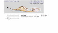 Striscia LED COB Digitale Running 24V 15W/m 5625 lm 6500K CRI>90 Bobina 5 Metri