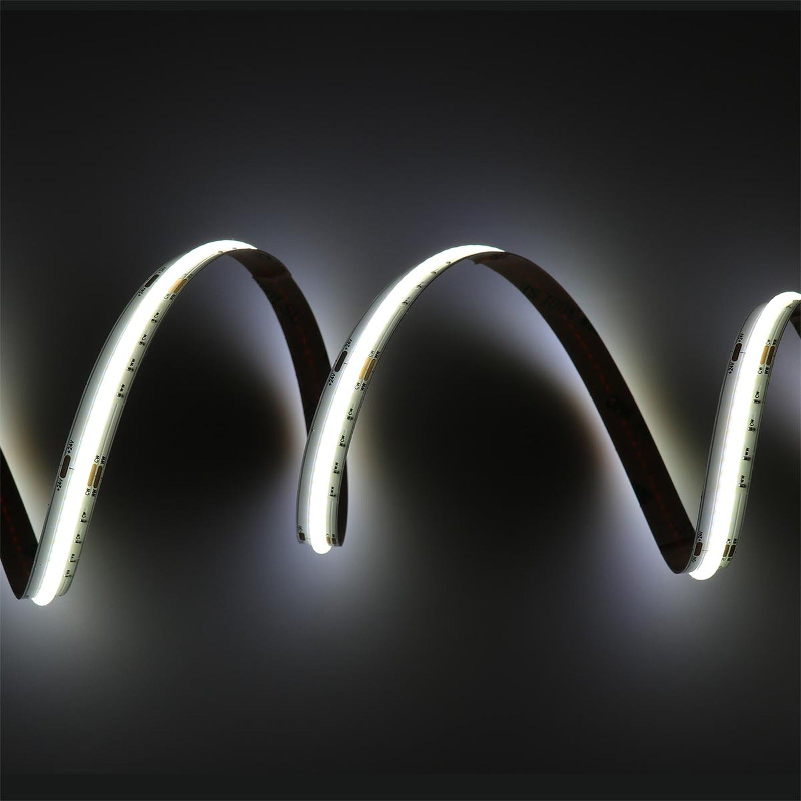 Striscia Led COB 24V 15W/M 120lm/W CRI Ra>90 Angolo 180 Dimmerabile IP20 Sezione Taglio 50mm CCT 2700K-6500K MS22528